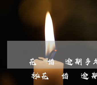 花唄借唄逾期多久會被起訴,真的會上門嗎，揭秘：花唄借唄逾期多久會被告上法庭？上門催收是真是假？